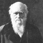 Lost Charles Darwin fossils discovered in a drawer after 165 years