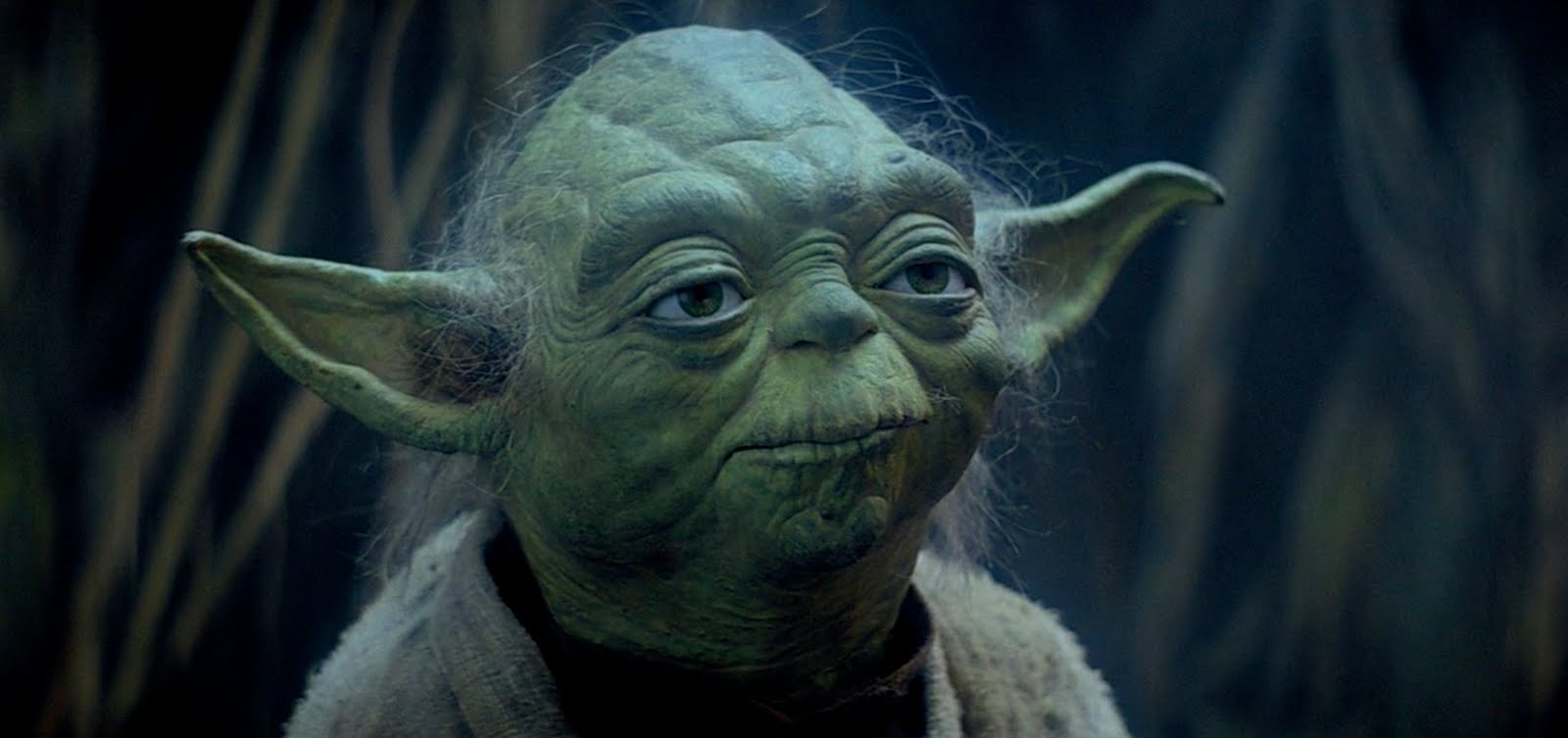 Stuff We Love: 2004 Star Wars novel Yoda: Dark Rendezvous is a masterful look at Padawans
