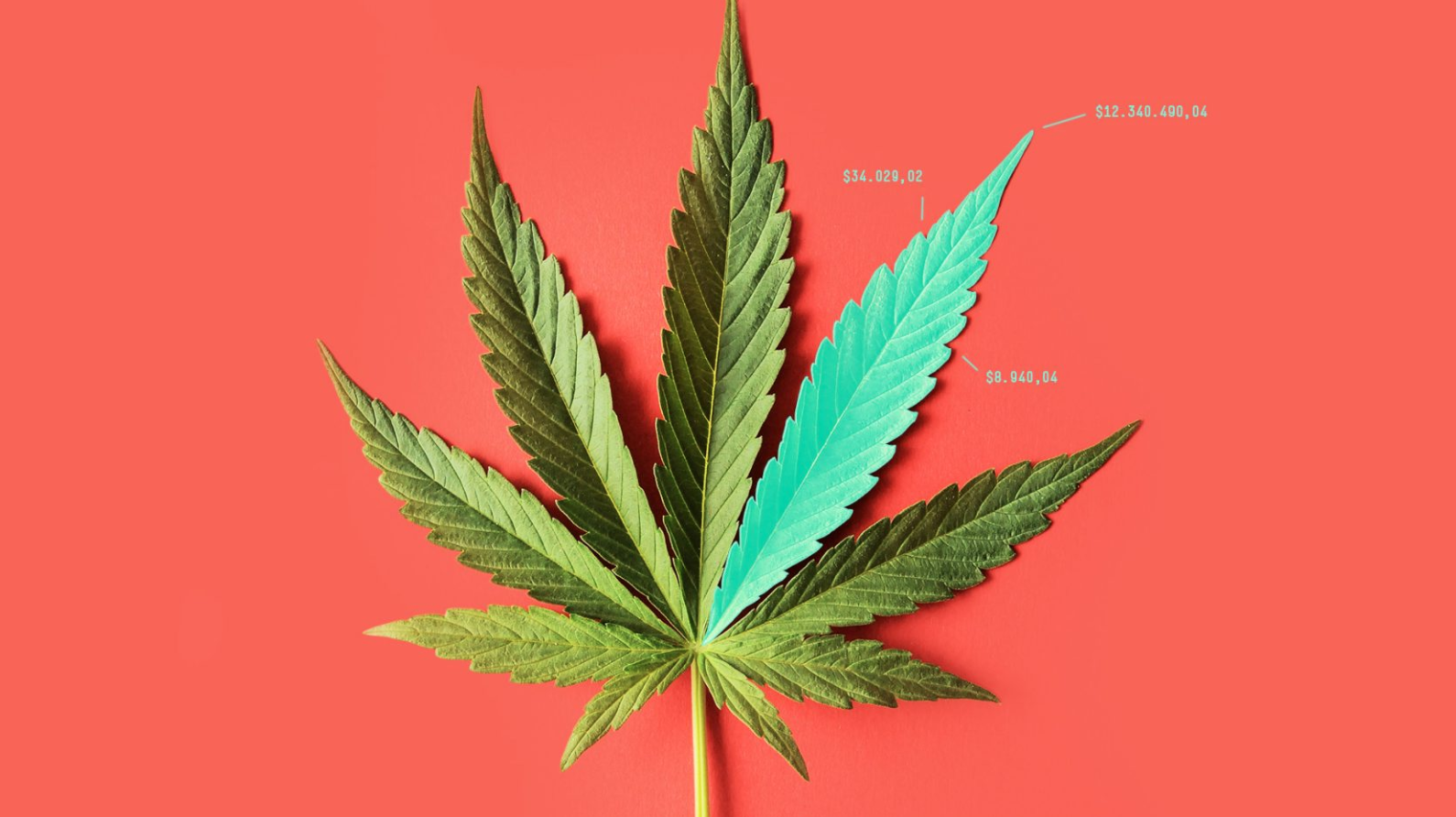 5 insights that big data has gleaned about cannabis